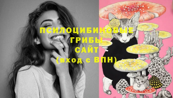 марки lsd Бронницы